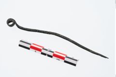 Foto von Bronzerollenkopfnadel (NHMW-PRAE-026395)
